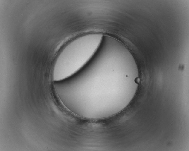 X0000112460208200908171024