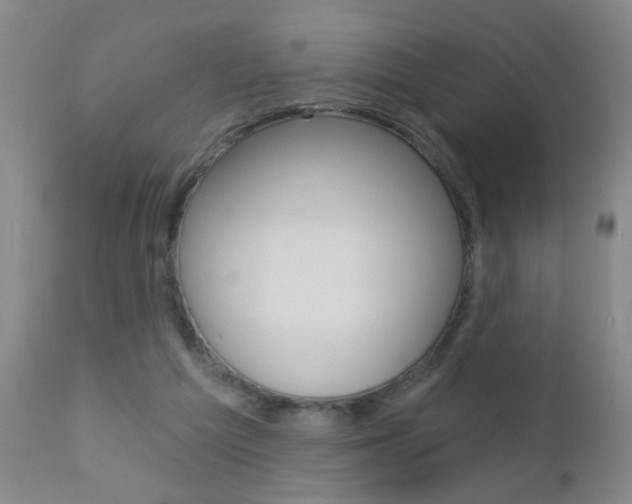 X0000112460209200908171024
