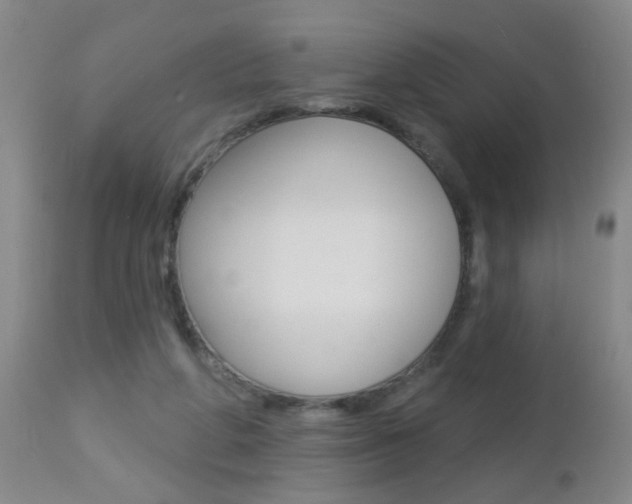 X0000112460210200908171024