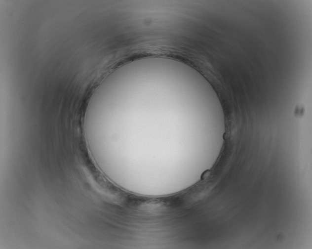 X0000112460213200908171024