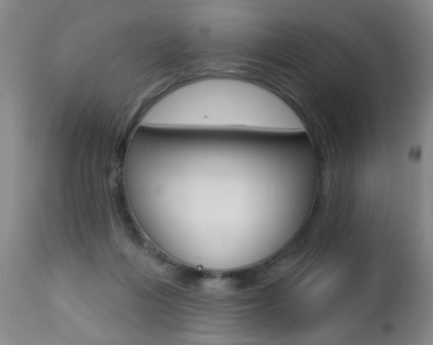 X0000112460216200908171024