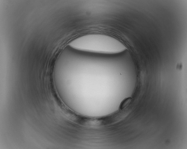 X0000112460217200908171024