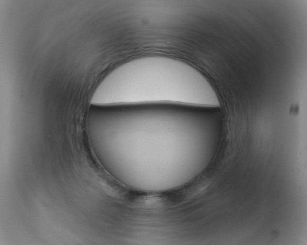 X0000112460219200908171024