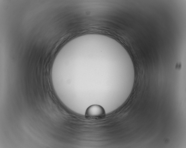 X0000112460220200908171024
