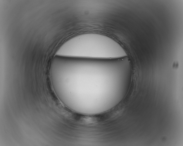 X0000112460221200908171024