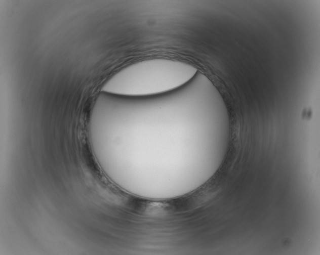 X0000112460222200908171024