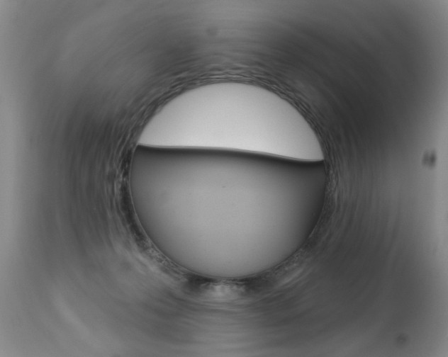 X0000112460223200908171023