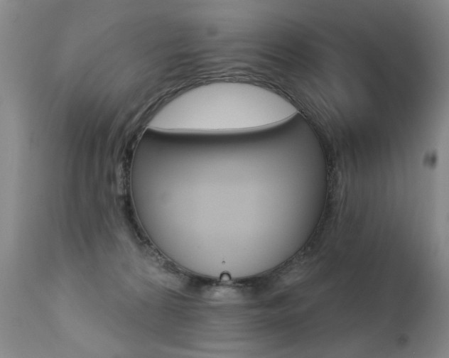 X0000112460224200908171023