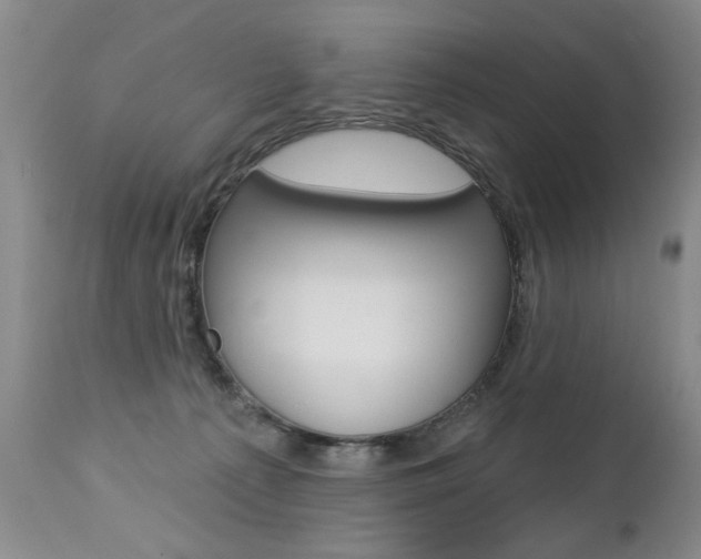 X0000112460225200908171023