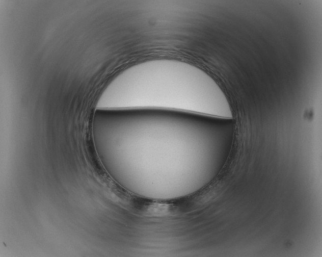 X0000112460227200908171023