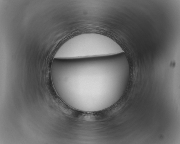 X0000112460228200908171023
