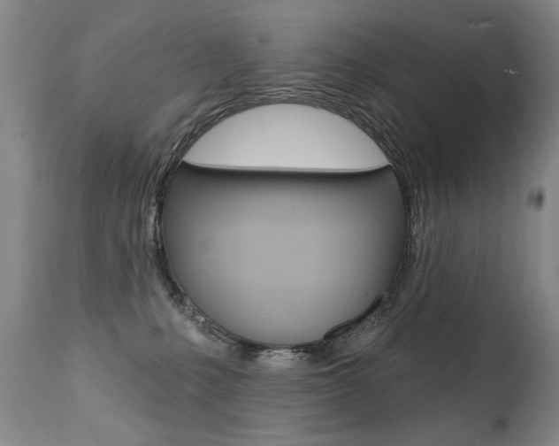 X0000112460231200908171023