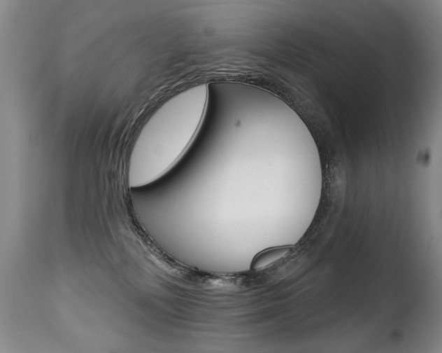 X0000112460232200908171023