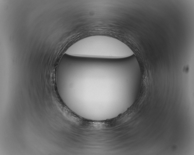 X0000112460233200908171023