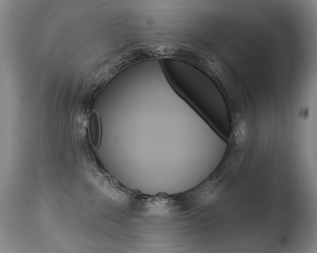 X0000112460235200908171023