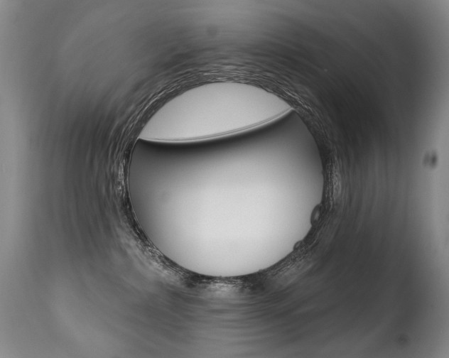 X0000112460236200908171023