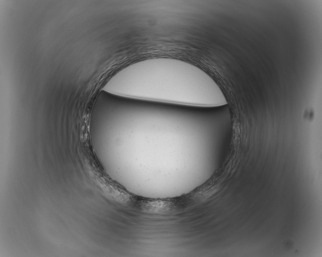 X0000112460237200908171023