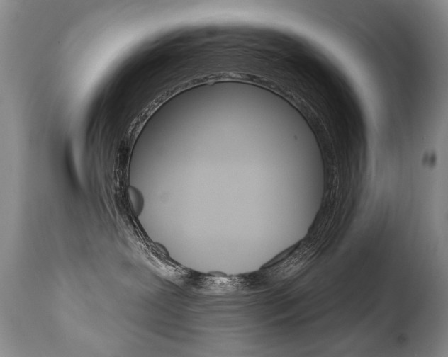 X0000112460239200908171023