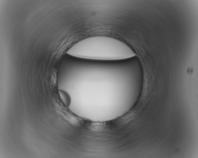 X0000112460240200908171023