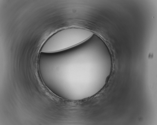 X0000112460241200908171023