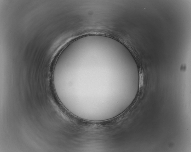 X0000112460243200908171023