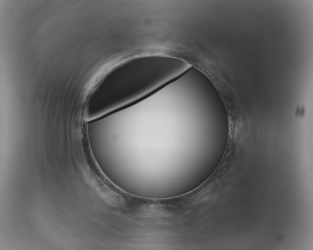 X0000112460244200908171023