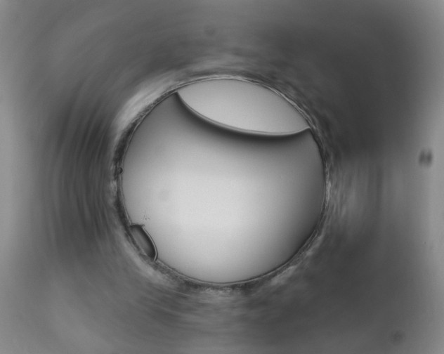 X0000112460245200908171023
