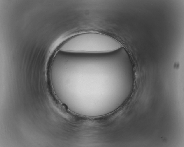 X0000112460246200908171023