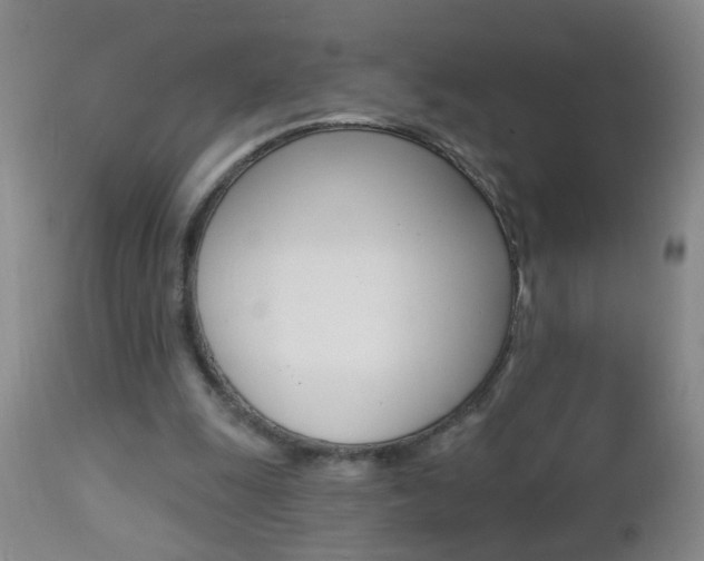 X0000112460247200908171023