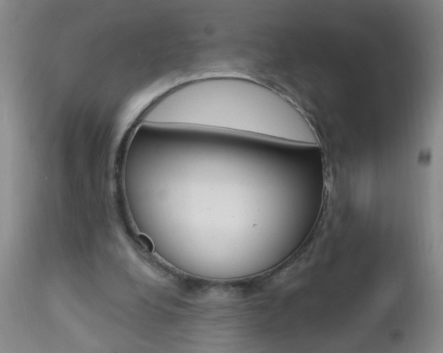 X0000112460248200908171023