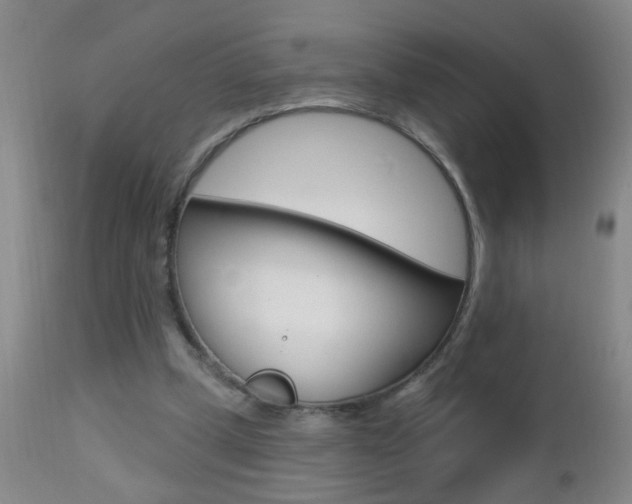 X0000112460249200908171023