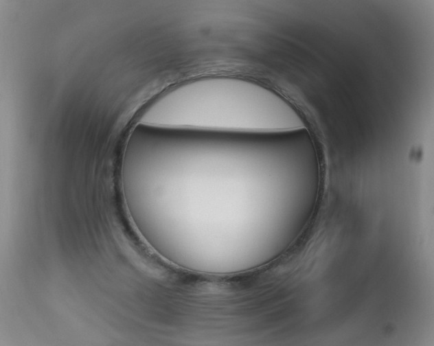 X0000112460250200908171023