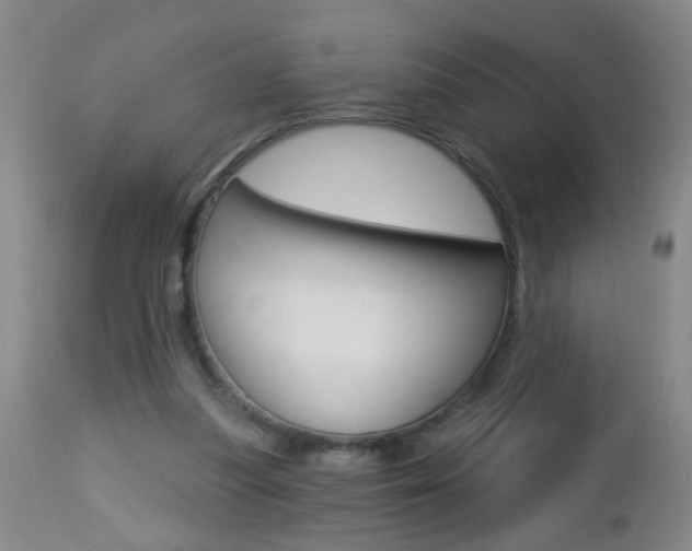 X0000112460251200908171023
