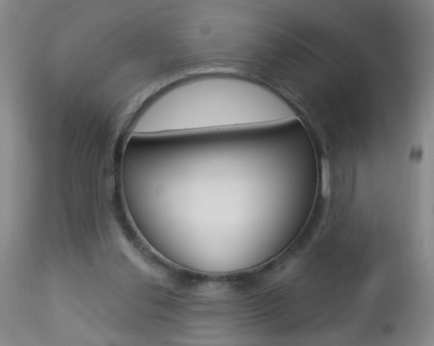 X0000112460252200908171023