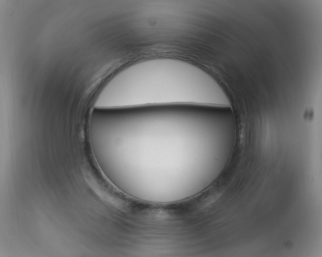 X0000112460254200908171023