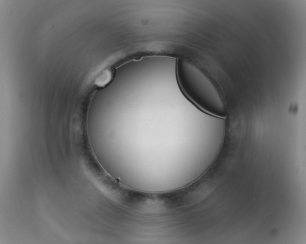X0000112460256200908171023