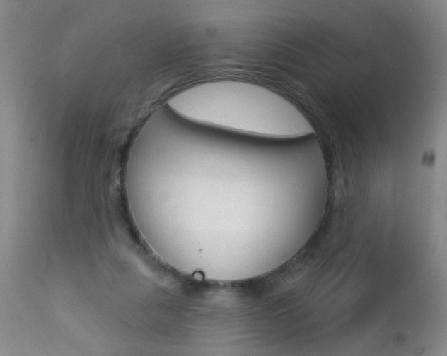 X0000112460259200908171023