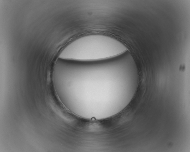 X0000112460262200908171023