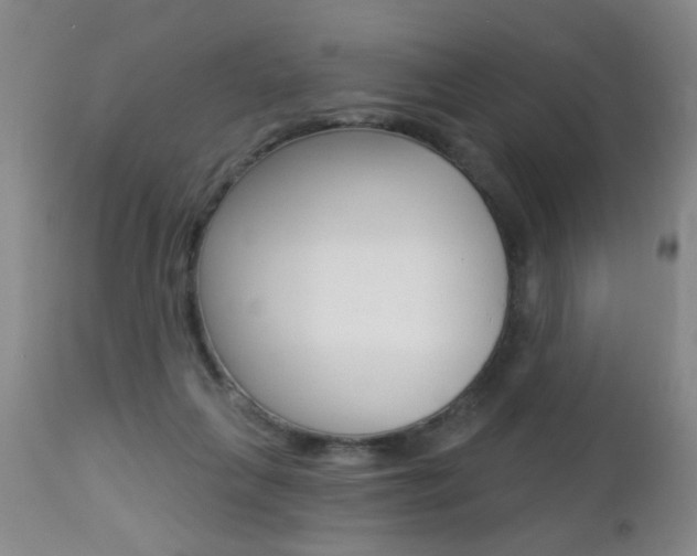 X0000112460263200908171023