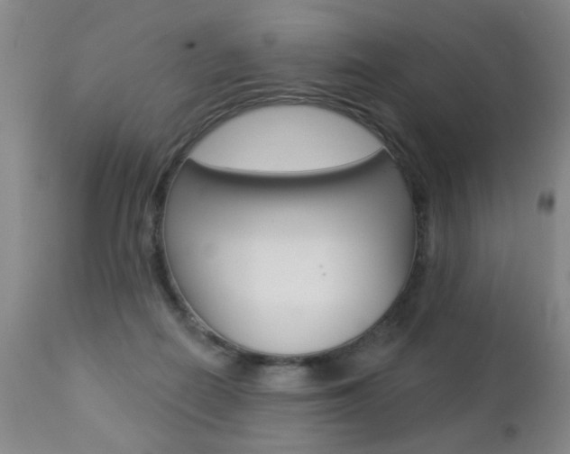 X0000112460266200908171023