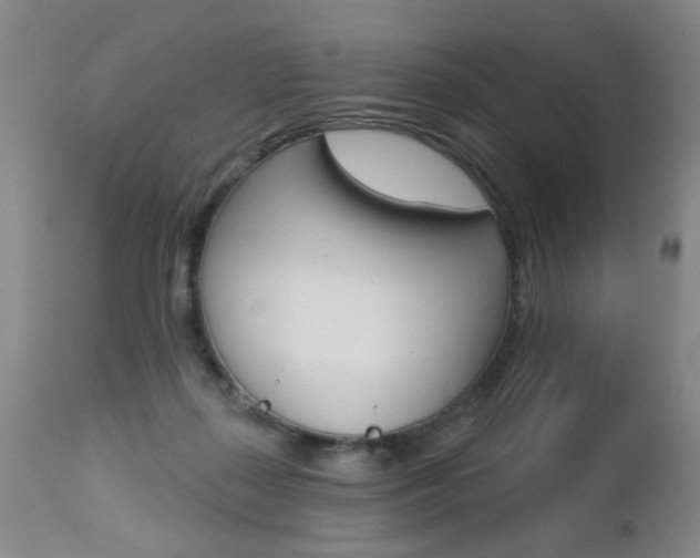 X0000112460267200908171023