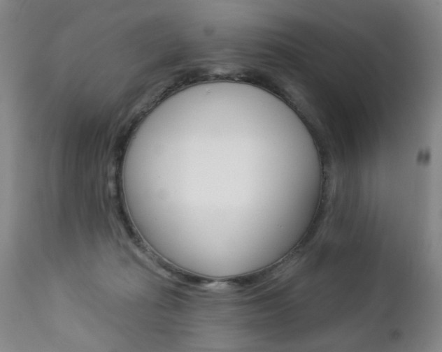 X0000112460269200908171023