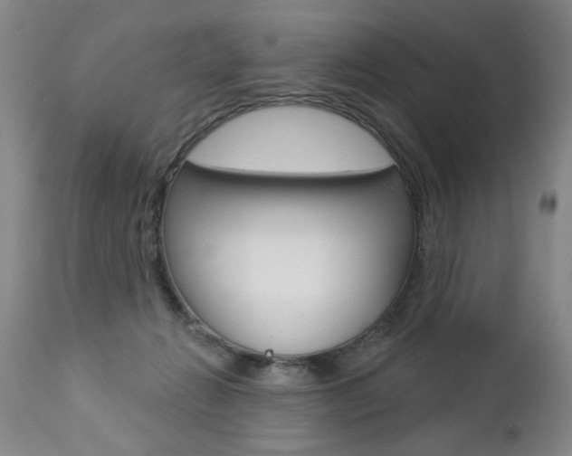 X0000112460270200908171023