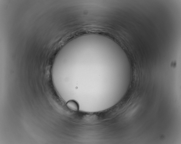 X0000112460271200908171023