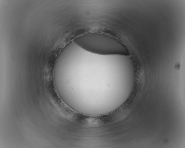 X0000112460272200908171023