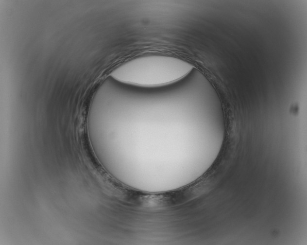 X0000112460273200908171023