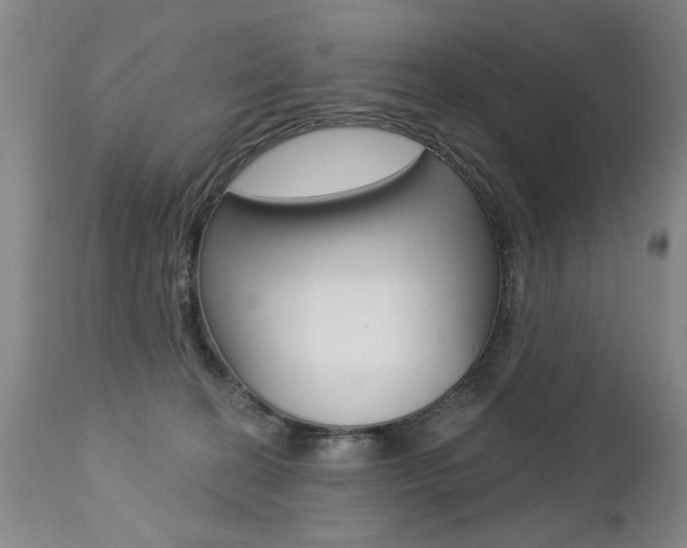 X0000112460274200908171023