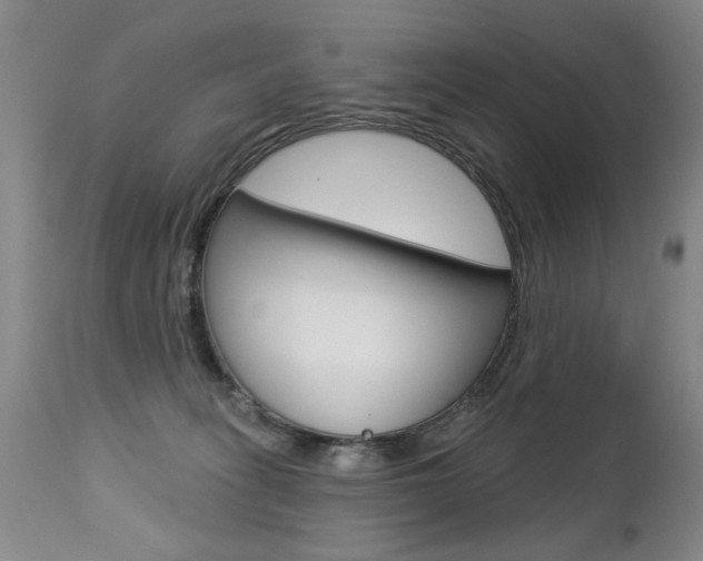 X0000112460275200908171023