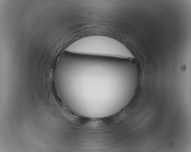 X0000112460278200908171023