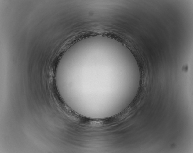 X0000112460279200908171023